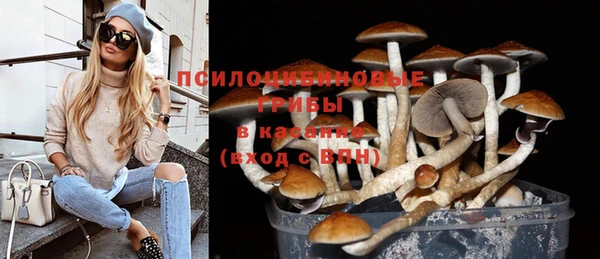винт Билибино