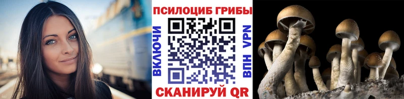 Галлюциногенные грибы Magic Shrooms  OMG ONION  Малаховка 